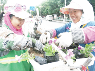 130团物业站美化街道护栏