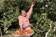 感人的事迹一串串