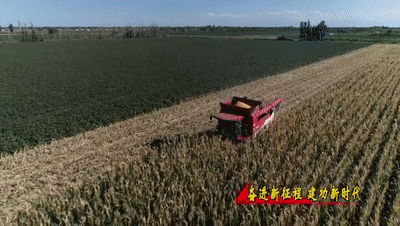 8517940f6aac4063b87ae439834488da.gif
