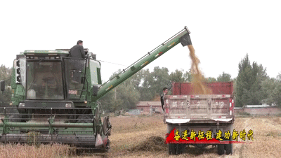 bc0aada46b8c4487a702a2e46d2dbabc.gif