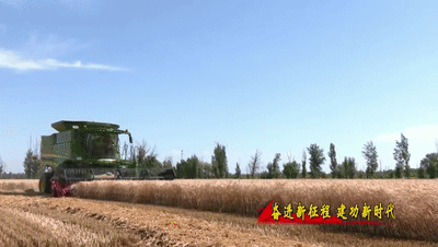 ff3698971f514ff99e2a100ce292a030.gif
