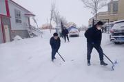 胡杨苑社区：铲雪除冰 社区服务暖人心