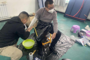 关爱残疾人义诊“量体裁衣”假肢适配暖人心