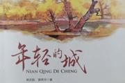 长篇小说《年轻的城》出版发行