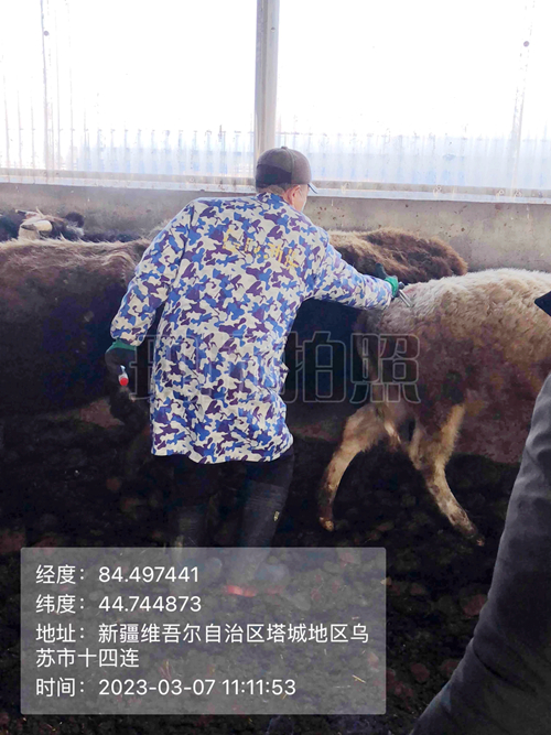 5ac892f5c4be4a48a16628473db8c8b9.jpg