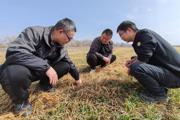 冬小麦“科技壮苗”行动助力春耕备播