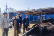 现场踏勘设施用地，助力连队经济发展