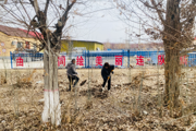 一三〇团深入开展爱国卫生运动 不断提高团镇整体卫生水平