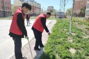 我是党员我报到 志愿服务我先行