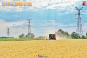 胡杨河光影丨垦区三夏好丰景