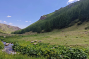 第七师一三七团生态保护生机盎然