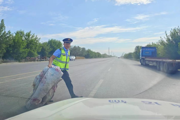 第七师交通运输综合行政执法支队多维度发力 深入推进行业执法检查