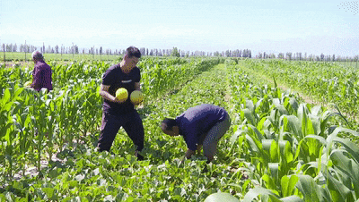 aba506677eb64220a82a49150c893e35.gif