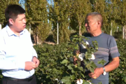 奎屯锦融诚信投资有限责任公司9.05亿元助种植户破解融资难