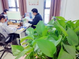 全“绿”以赴！七师胡杨河市这样践行绿色低碳生活