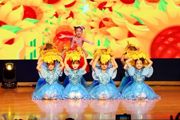 奎东农场举办兵地融合春节文艺会演