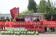 石榴花开别样红 古尔邦节情意浓