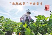 胡杨河光影丨“热辣滚烫”中的坚守