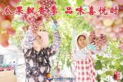 胡杨河光影丨瓜果飘香季 品味喜悦时