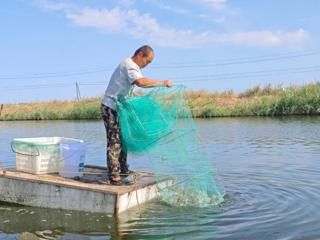 特色种养业实现“双轮驱动” 一三一团让城郊经济焕发新活力