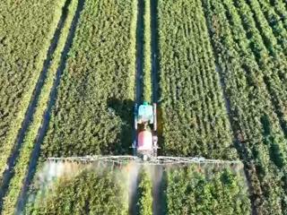 七师胡杨河市178万亩棉花喷施脱叶剂