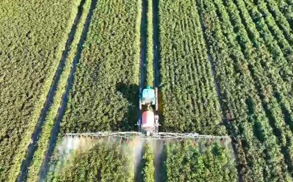 七师胡杨河市178万亩棉花喷施脱叶剂