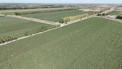 c374da73c4ce4afeb24c868eed0b007d.gif