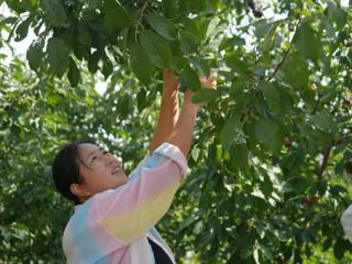 七师胡杨河市特色种植养殖助农业提质增效