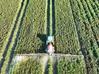 辉煌70年 奋进新征程丨七师胡杨河市农业农村工作高质量发展综述