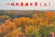 胡杨河光影丨一城秋意满目景（上）