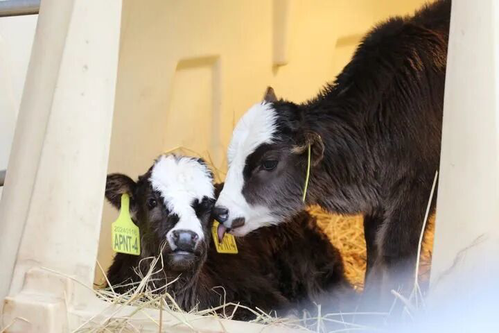 189277a62b274c56b5650ac1acf65d4b.jpeg 189277a62b274c56b5650ac1acf65d4b.jpeg