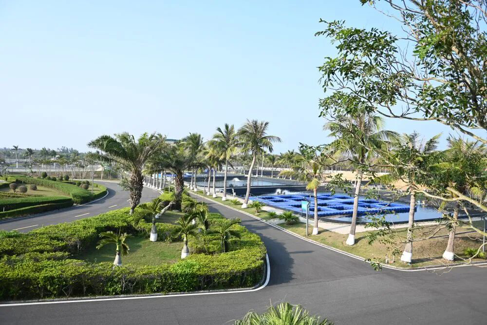 b8385f8e97d74c45b7fd464549d3f4ff.jpeg b8385f8e97d74c45b7fd464549d3f4ff.jpeg