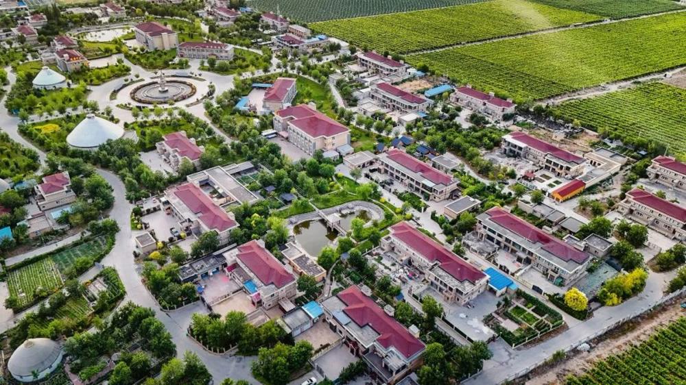 9925a332507749969187e726ade93f8e.jpeg 9925a332507749969187e726ade93f8e.jpeg